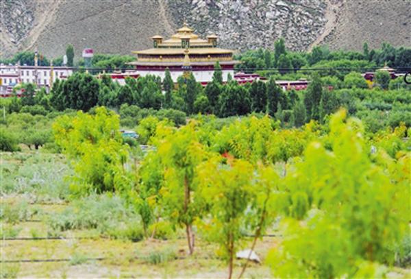 544971_yis_1535514206639_b.jpg 544971_yis_1535514206639_b.jpg