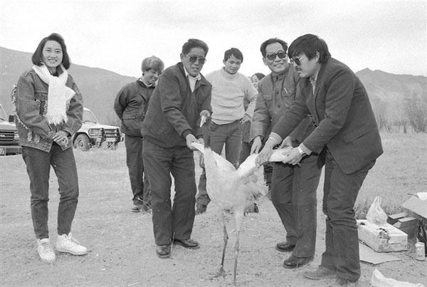 wangkb872_s.jpg wangkb872_s.jpg