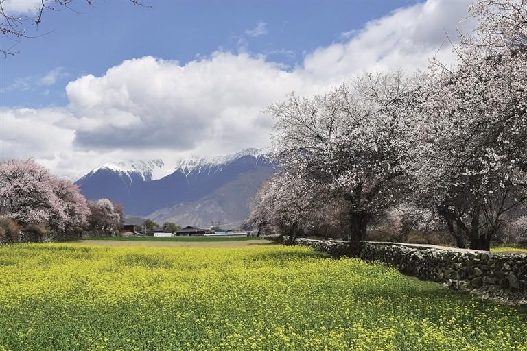 172693_yis_1613836800000_s.jpg 172693_yis_1613836800000_s.jpg