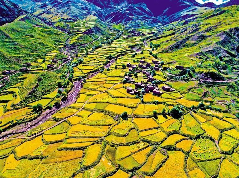 1112689_yis_1632499200000_s.jpg 1112689_yis_1632499200000_s.jpg