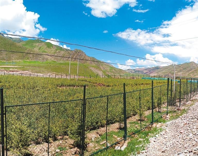 1083926_yis_1633536000000_s.jpg 1083926_yis_1633536000000_s.jpg